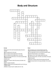 Body and Structure Word Scramble Puzzle