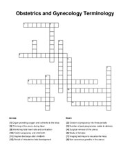 Obstetrics and Gynecology Terminology Crossword Puzzle