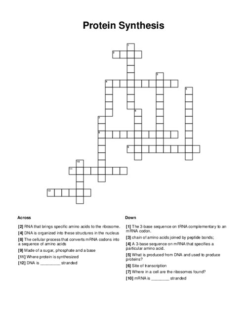 Protein Synthesis Crossword Puzzle