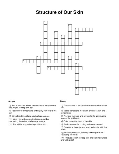 Structure of Our Skin Crossword Puzzle