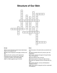 Structure of Our Skin Crossword Puzzle