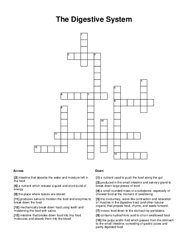 The Digestive System Crossword Puzzle