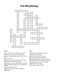 Tree Morphology Word Scramble Puzzle