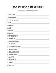 DNA and RNA Word Scramble