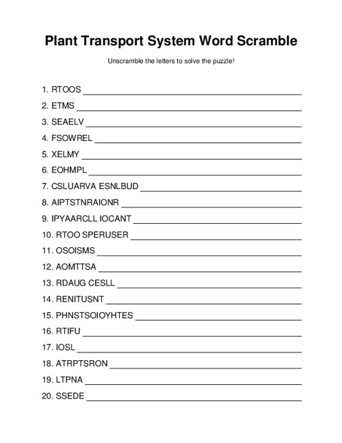 Plant Transport System Word Scramble