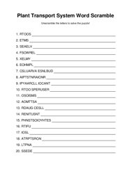 Plant Transport System Word Scramble Puzzle