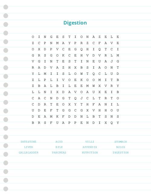 Digestion Word Search Puzzle