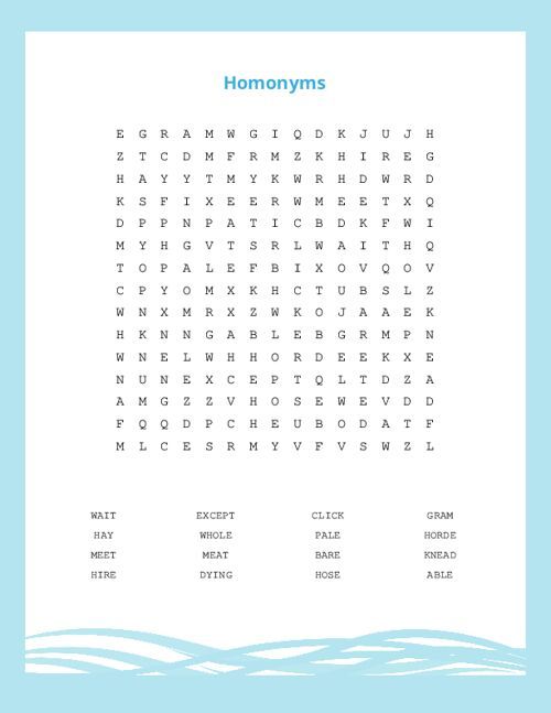 Homonyms Word Search Puzzle