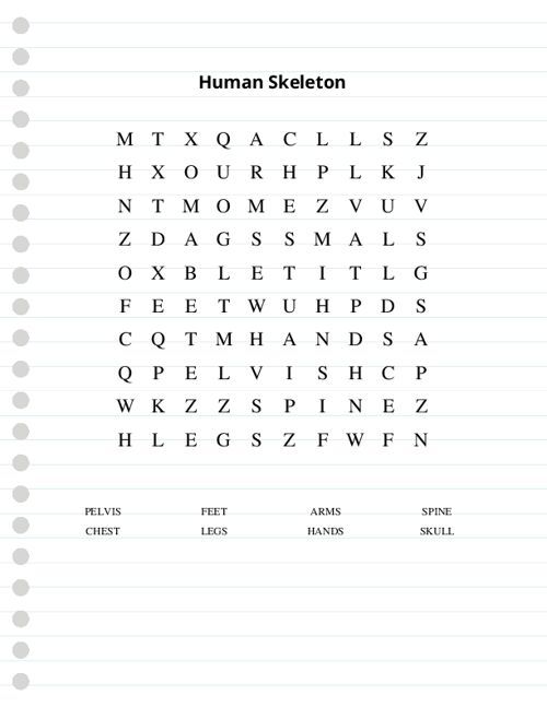 Human Skeleton Word Search Puzzle