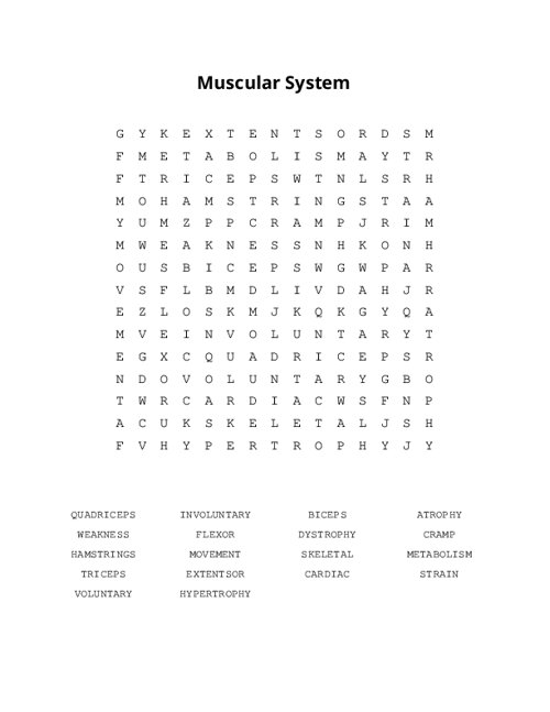 Muscular System Word Search Puzzle