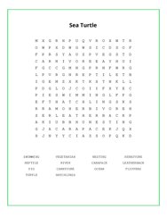 Sea Turtle Word Search Puzzle