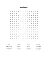 Appliances Word Search Puzzle
