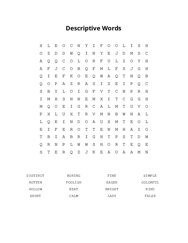 Descriptive Words Word Scramble Puzzle