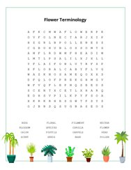 Flower Terminology Word Search Puzzle