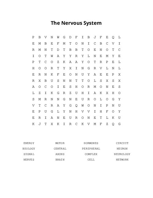 The Nervous System Word Search Puzzle