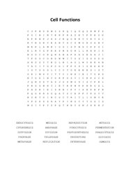 Cell Functions Word Search Puzzle