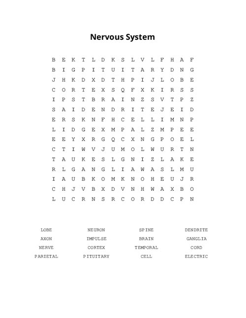 Nervous System Word Search Puzzle