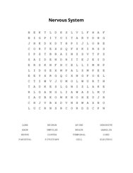 Nervous System Word Search Puzzle