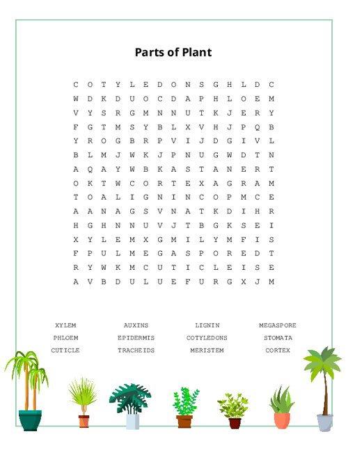 Parts Of Plant Word Search