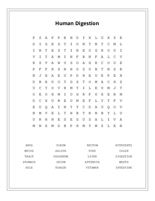 Human Digestion Word Search Puzzle