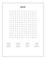 Glands Word Search Puzzle