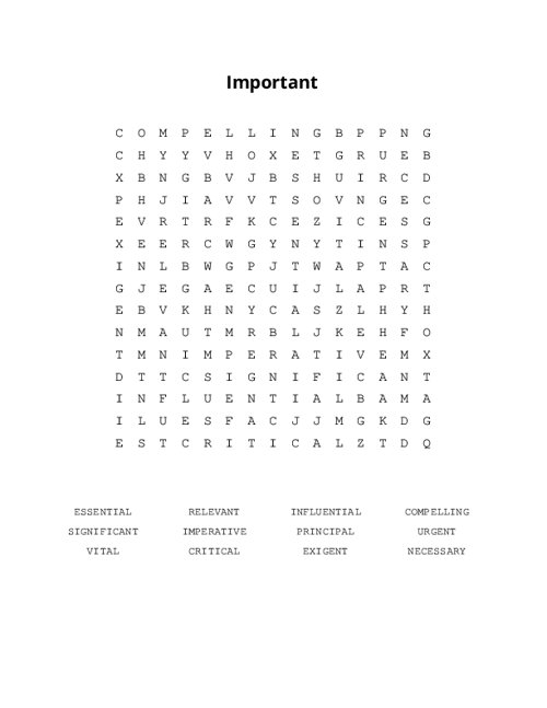 Important Word Search Puzzle