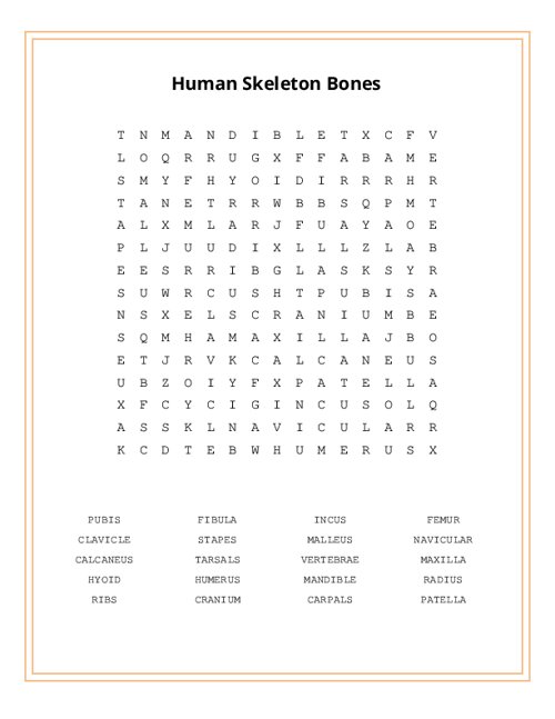 Human Skeleton Bones Word Search Puzzle