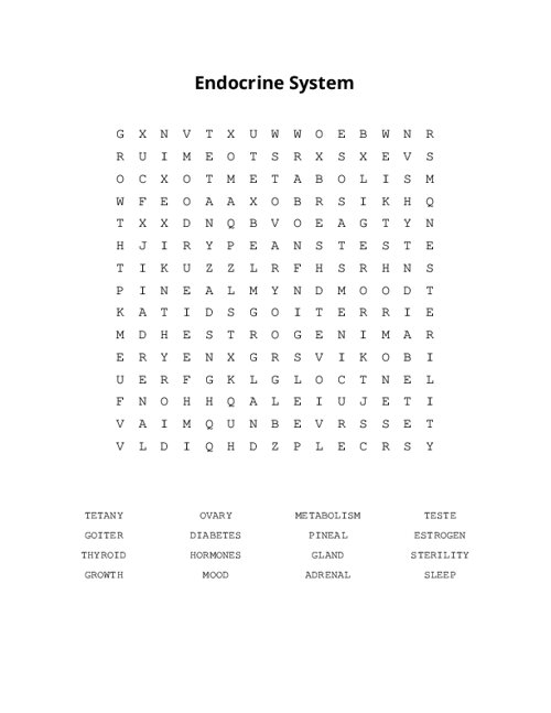 Endocrine System Word Search Puzzle
