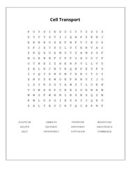 Cell Transport Word Search Puzzle