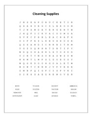 Cleaning Supplies Word Search Puzzle