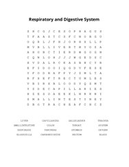 Respiratory and Digestive System Word Search Puzzle