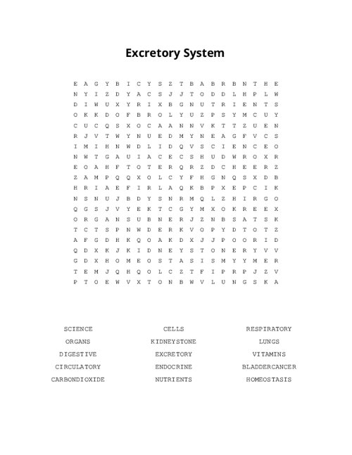 Excretory System Word Search Puzzle