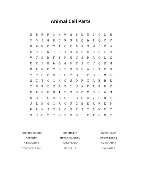 Animal Cell Parts Word Search Puzzle
