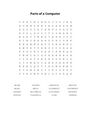 Parts of a Computer Word Search Puzzle