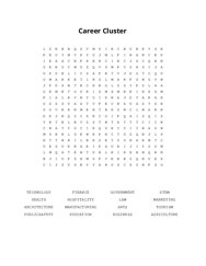 Career Cluster Word Search Puzzle
