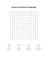 Human and Physical Geography Word Search Puzzle