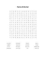 Parts of the Ear Word Search Puzzle