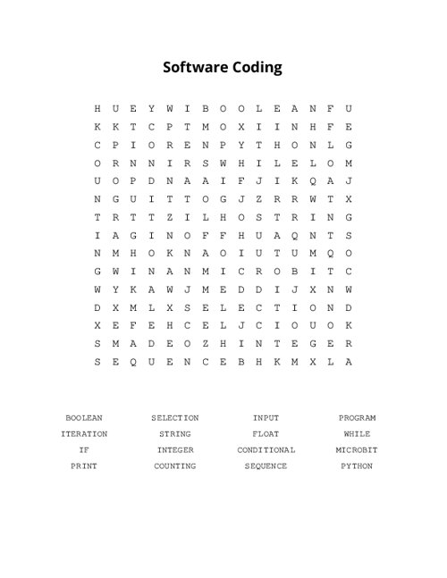 Software Coding Word Search Puzzle
