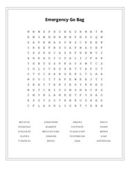 Emergency Go Bag Word Search Puzzle