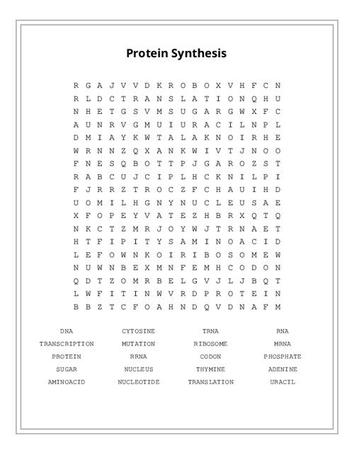 Protein Synthesis Word Search Puzzle