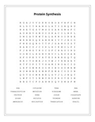 Protein Synthesis Word Search Puzzle