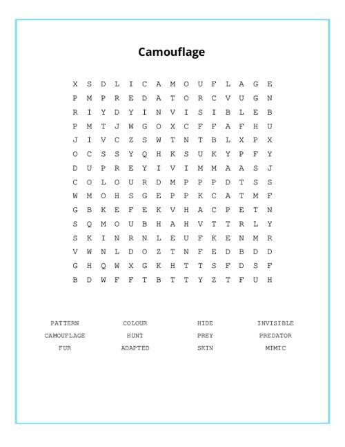 Camouflage Word Search Puzzle
