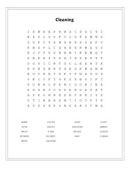 Cleaning Word Scramble Puzzle